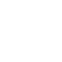 Vestido dama